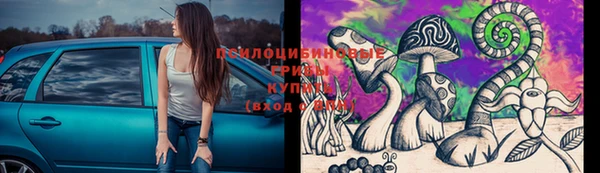 мдма Няндома