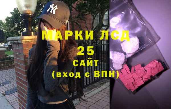 крисы Новодвинск