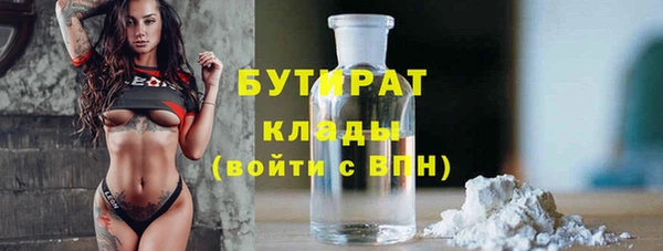 крисы Новодвинск