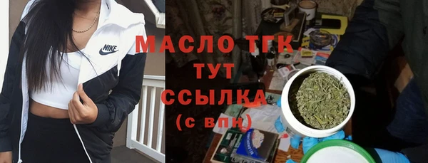 крисы Новодвинск