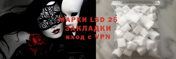 крисы Новодвинск