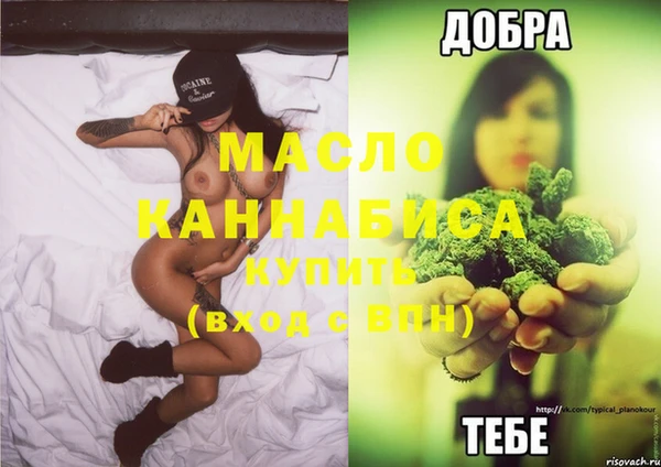 крисы Новодвинск