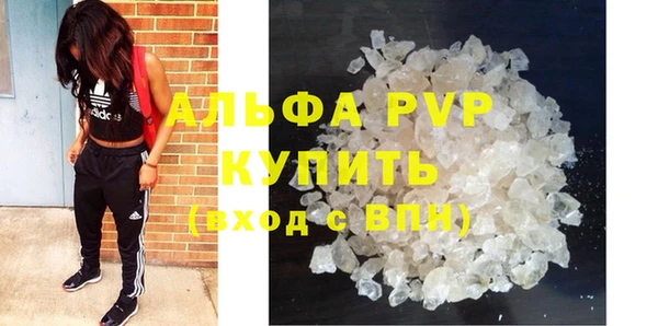 крисы Новодвинск