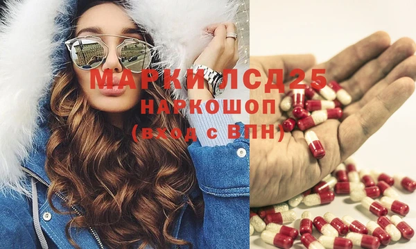 крисы Новодвинск