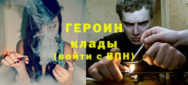 крисы Новодвинск