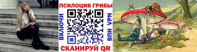 Галлюциногенные грибы Psilocybe  Урюпинск 
