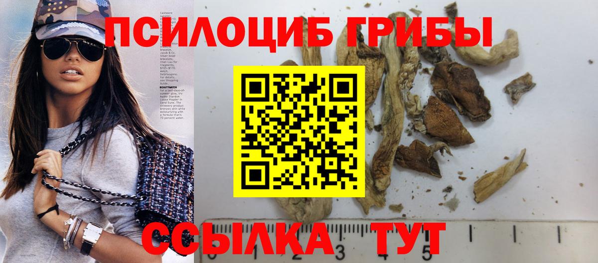 Урюпинск  Псилоцибиновые грибы MAGIC MUSHROOMS  Вход с VPN 