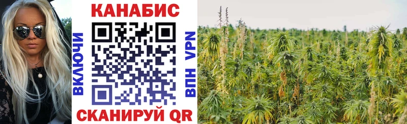 Бошки марихуана VHQ  blacksprut зеркало  Урюпинск  купить  цена 